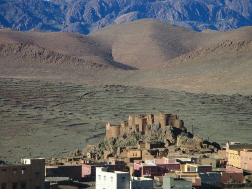 1506290_10152207479134793_2139280069_o